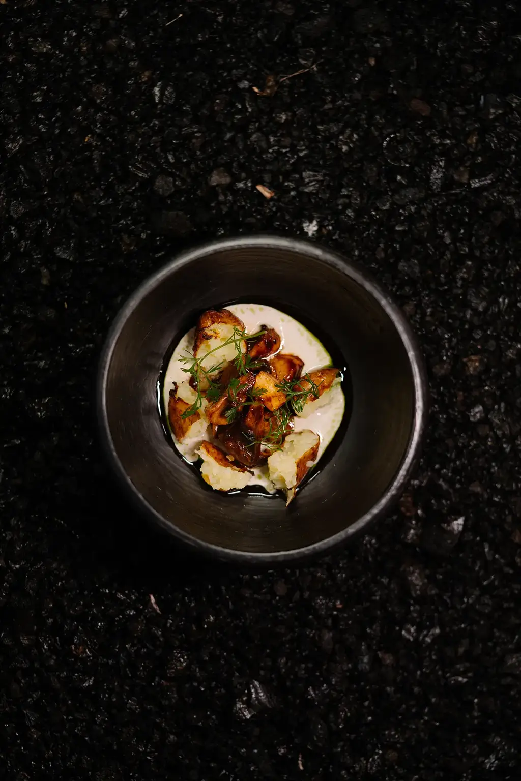 Dining experience at Evolution by Pikaia