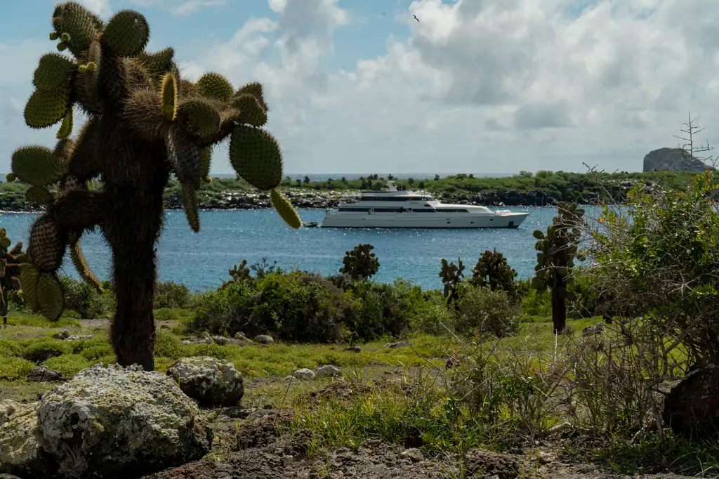 M/Y Vision Pikaia cruising across Galápagos waters