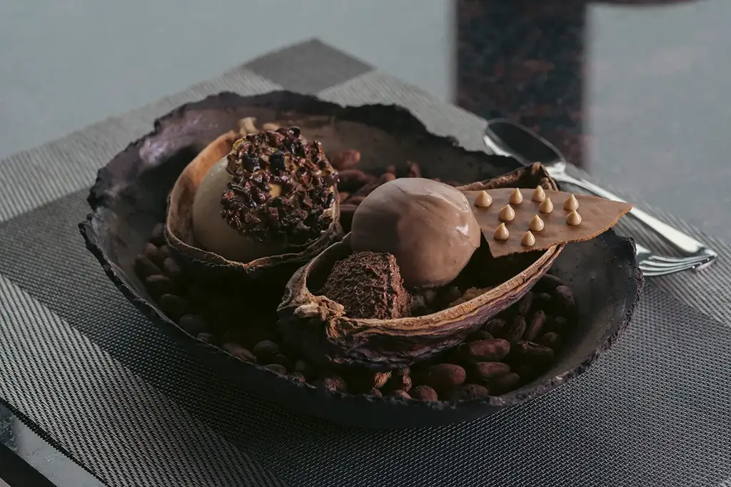 Chocolate dessert at Evolution by Pikaia