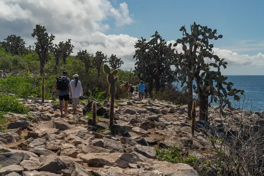 Guests exploring Galápagos landscapes